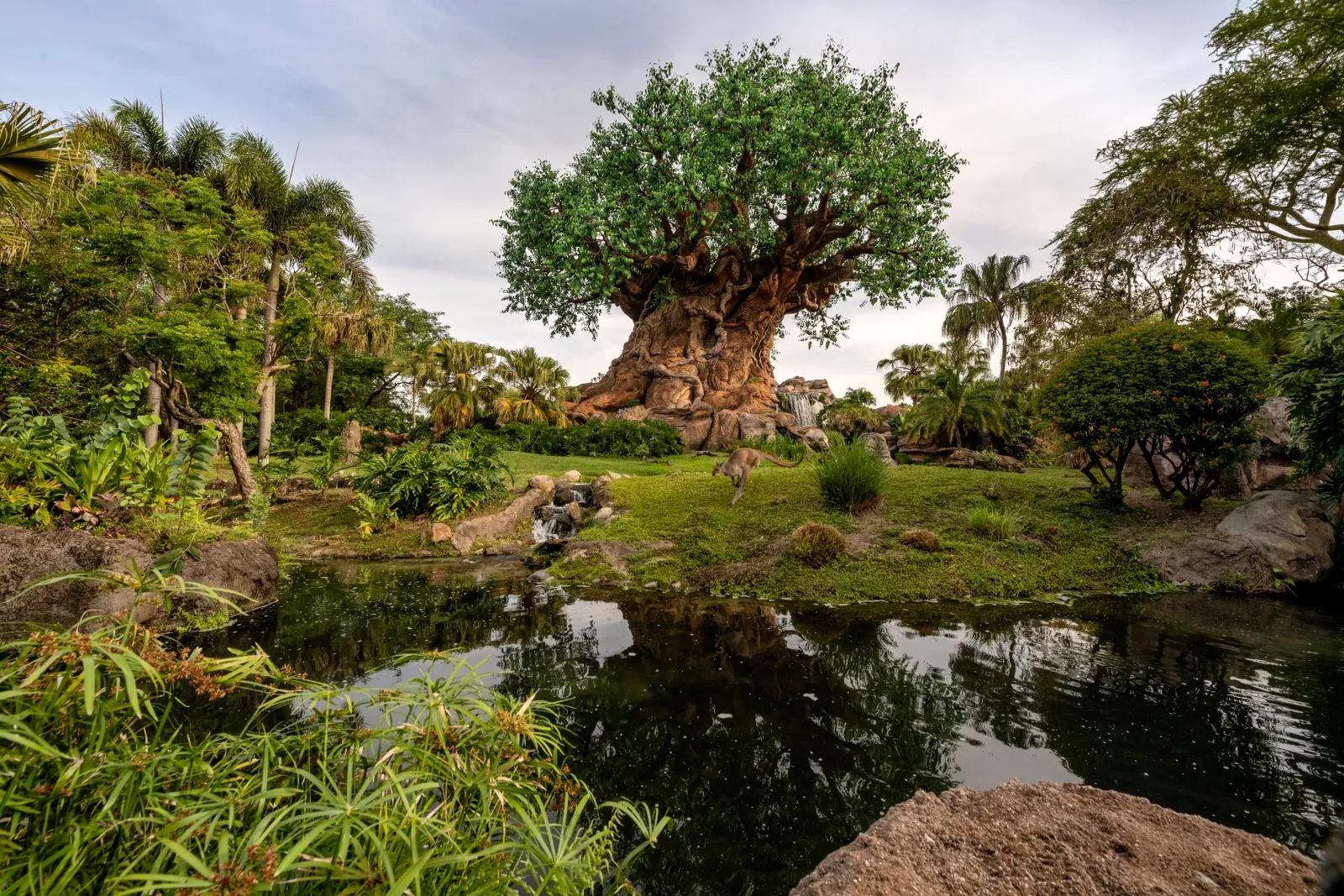 Walt Disney World - Disney's Animal Kingdom